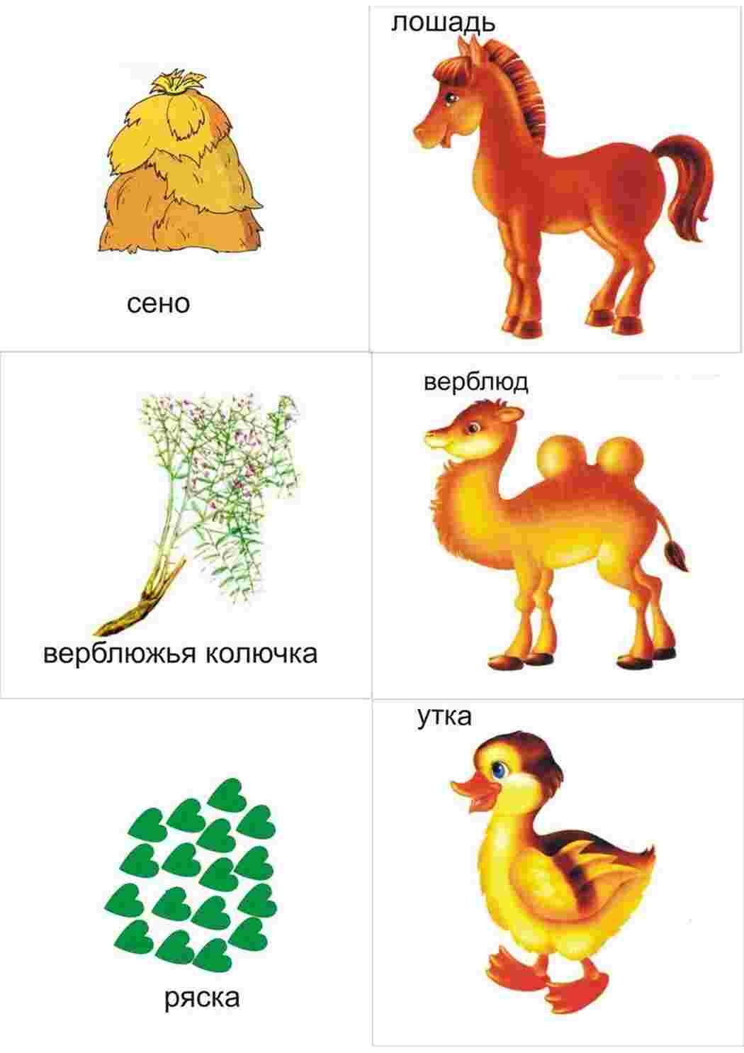 Раскраска назови одним словом для детей