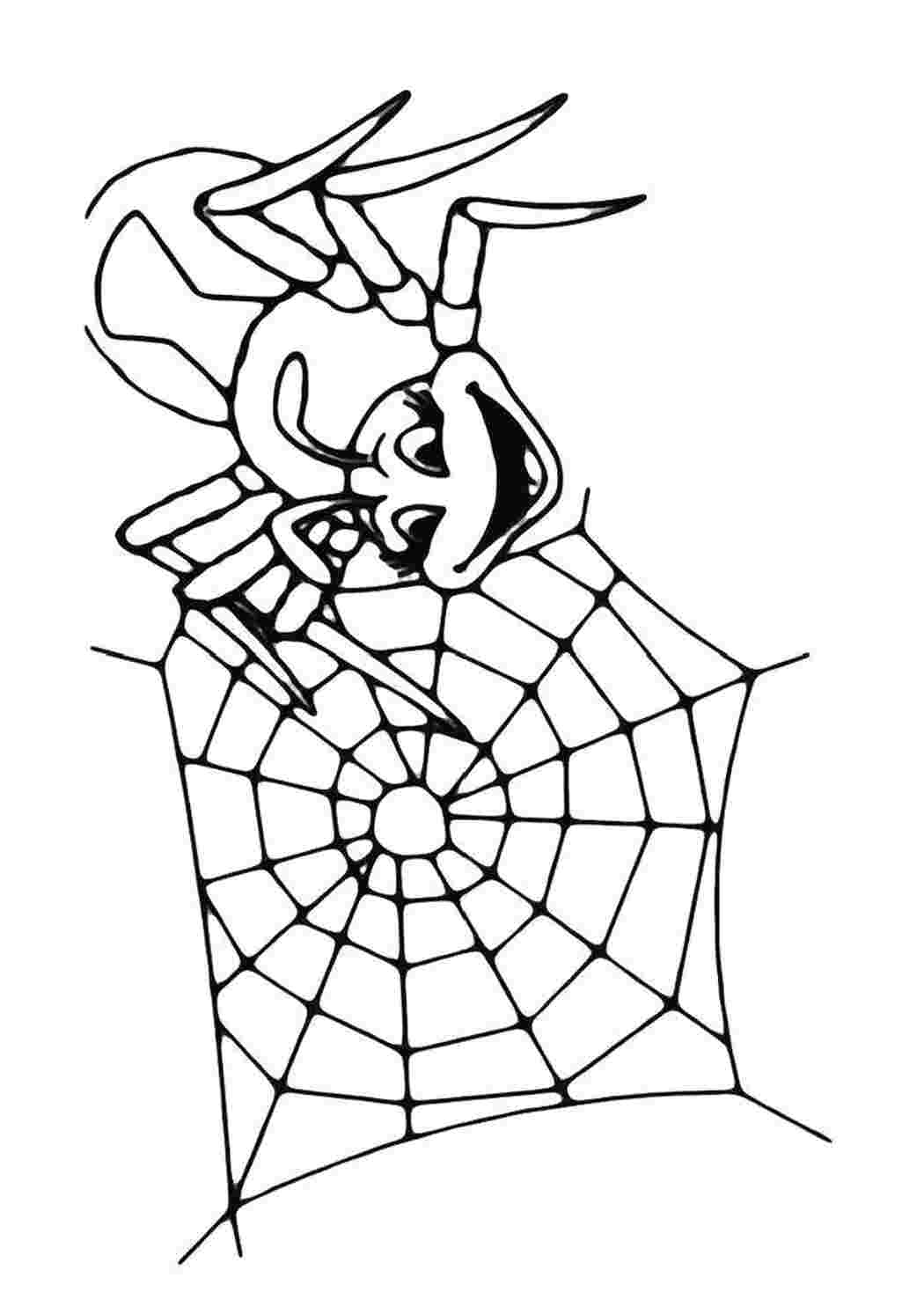 Муха Цокотуха и паук раскраска