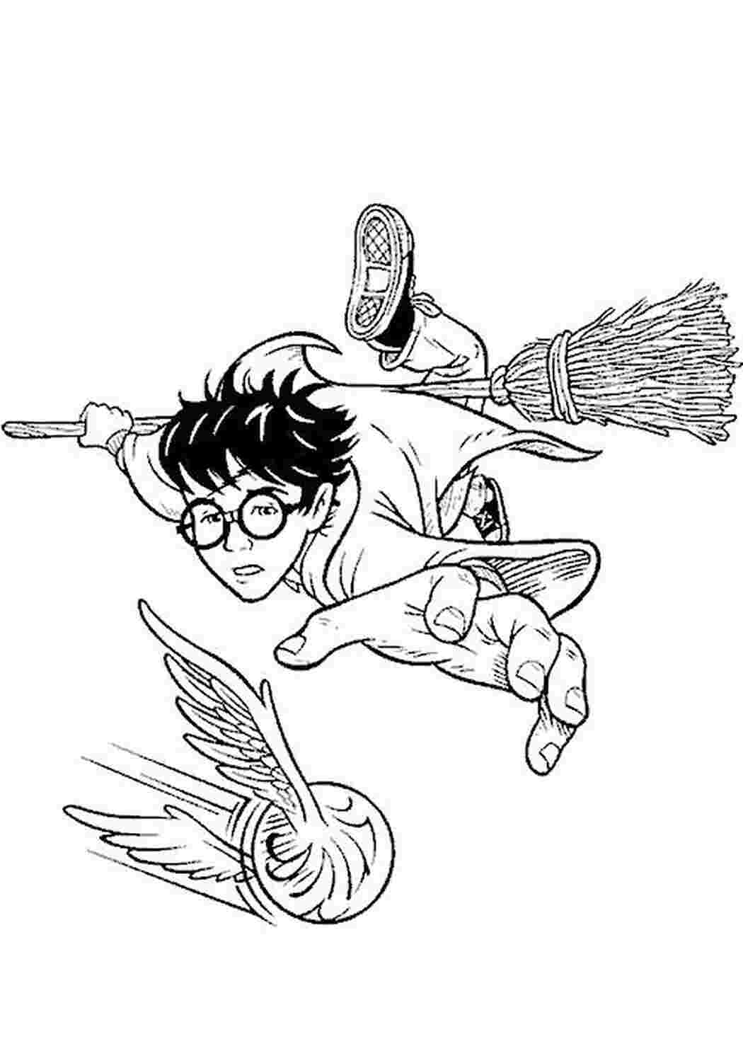 Раскраска Квидич