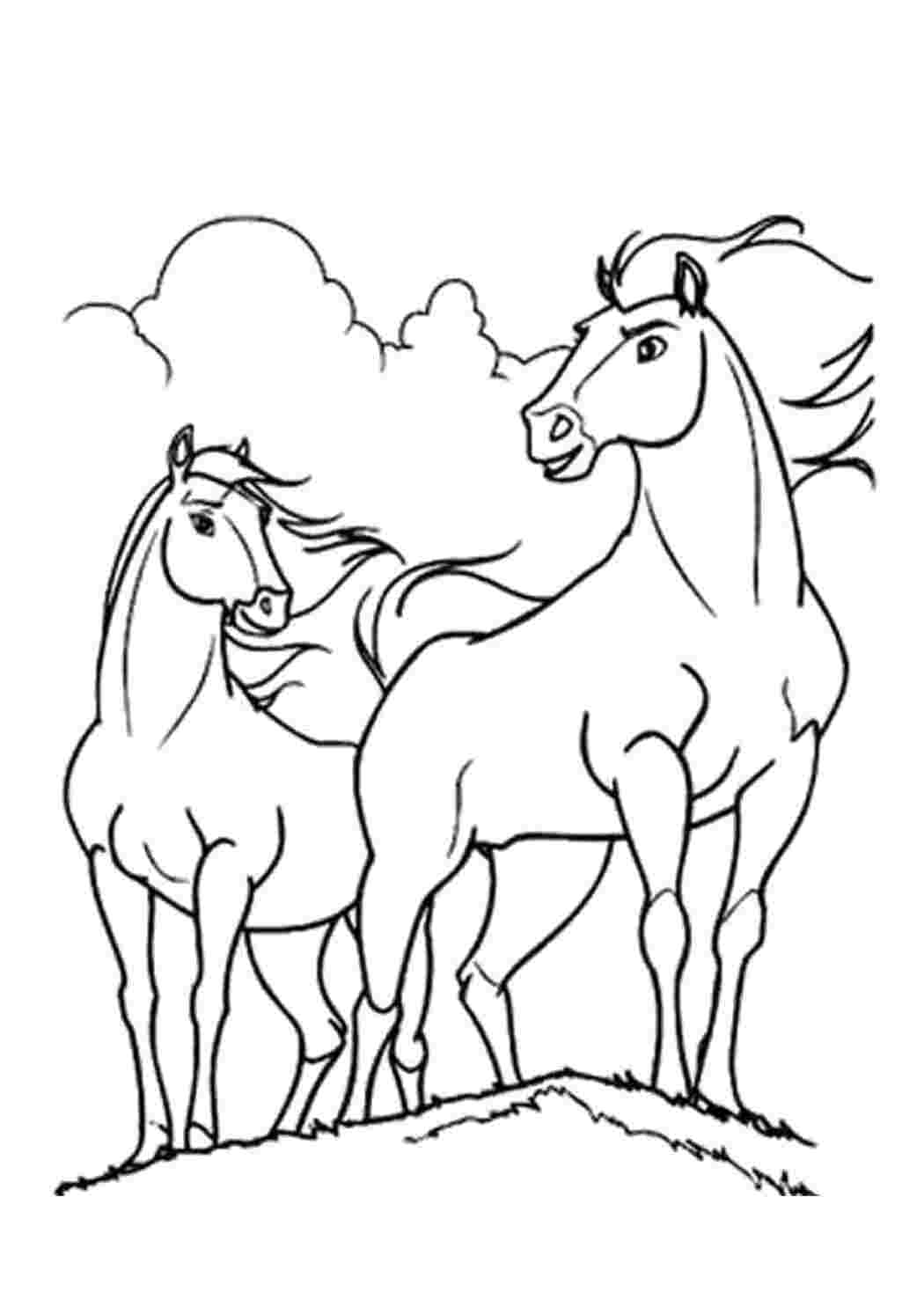 Раскраска Грация лошадей