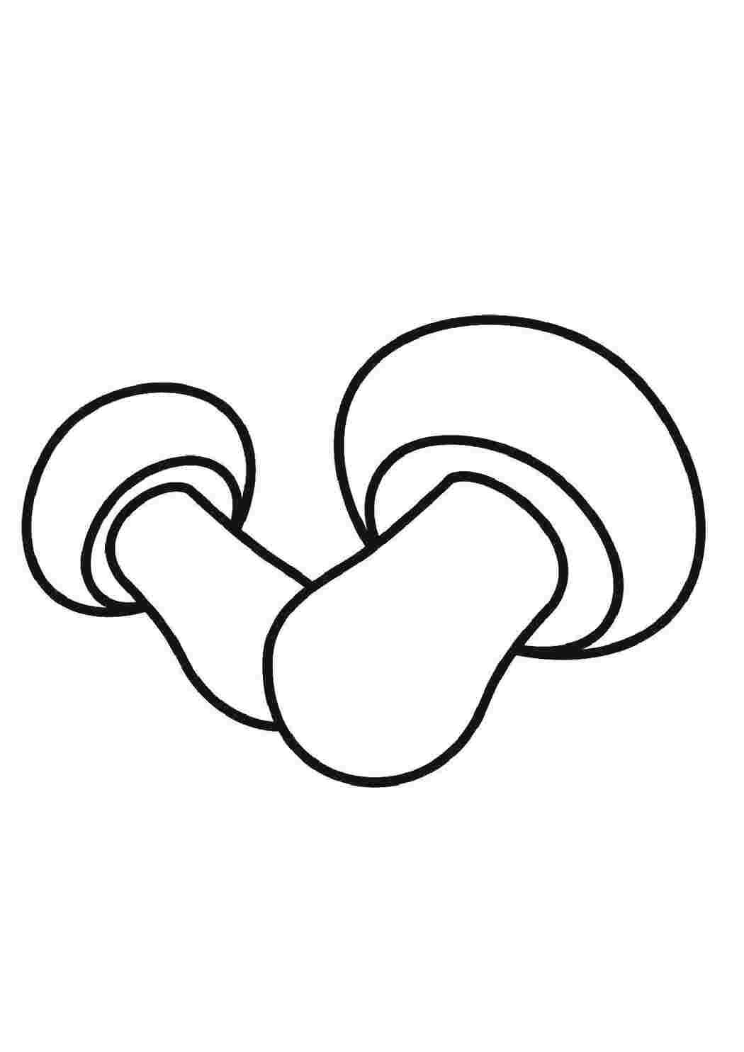 Раскраска Грибы