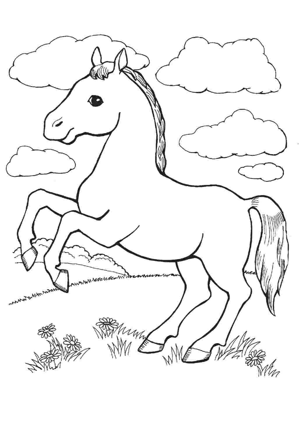 Раскраска лошадка встала на дыбы