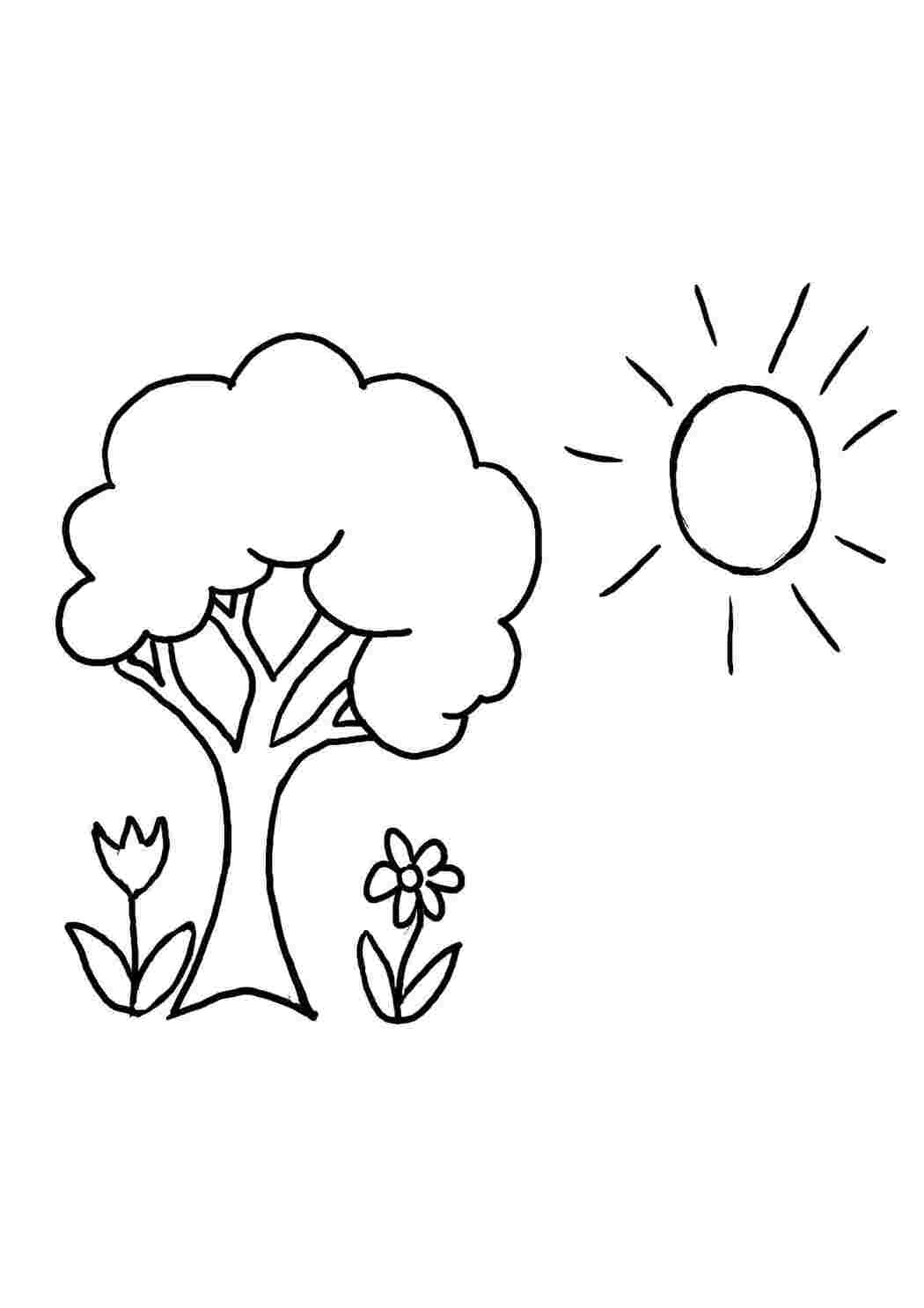 Раскраска Дерево