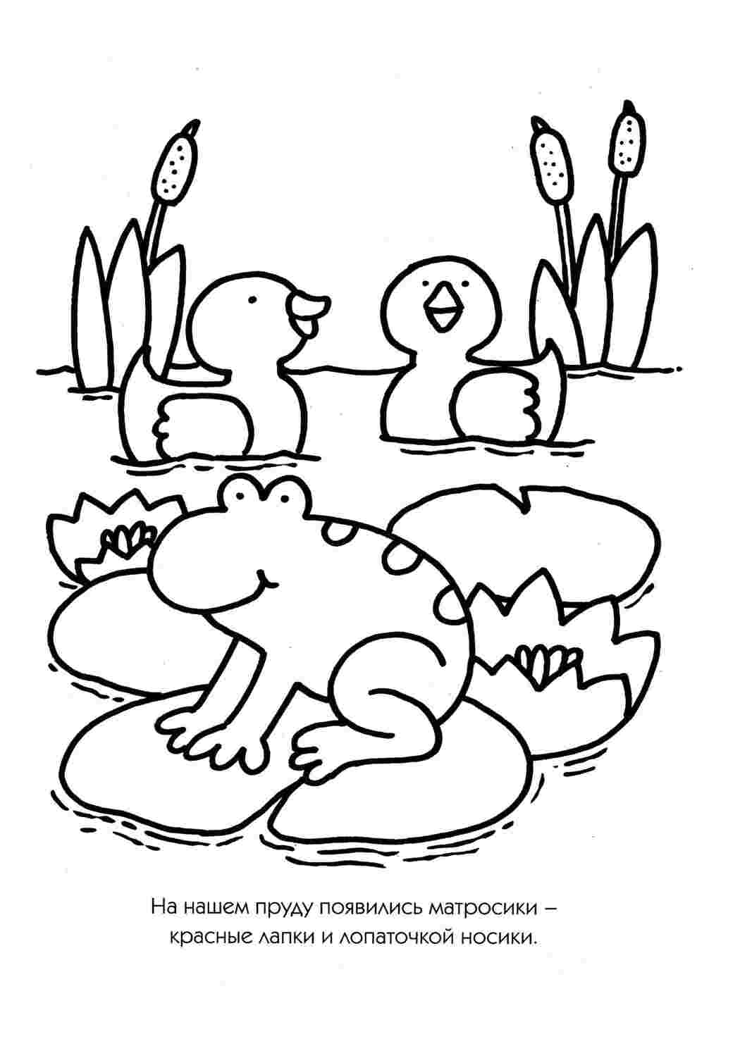 Раскраска Детские ракраски - Развиваем способности детей