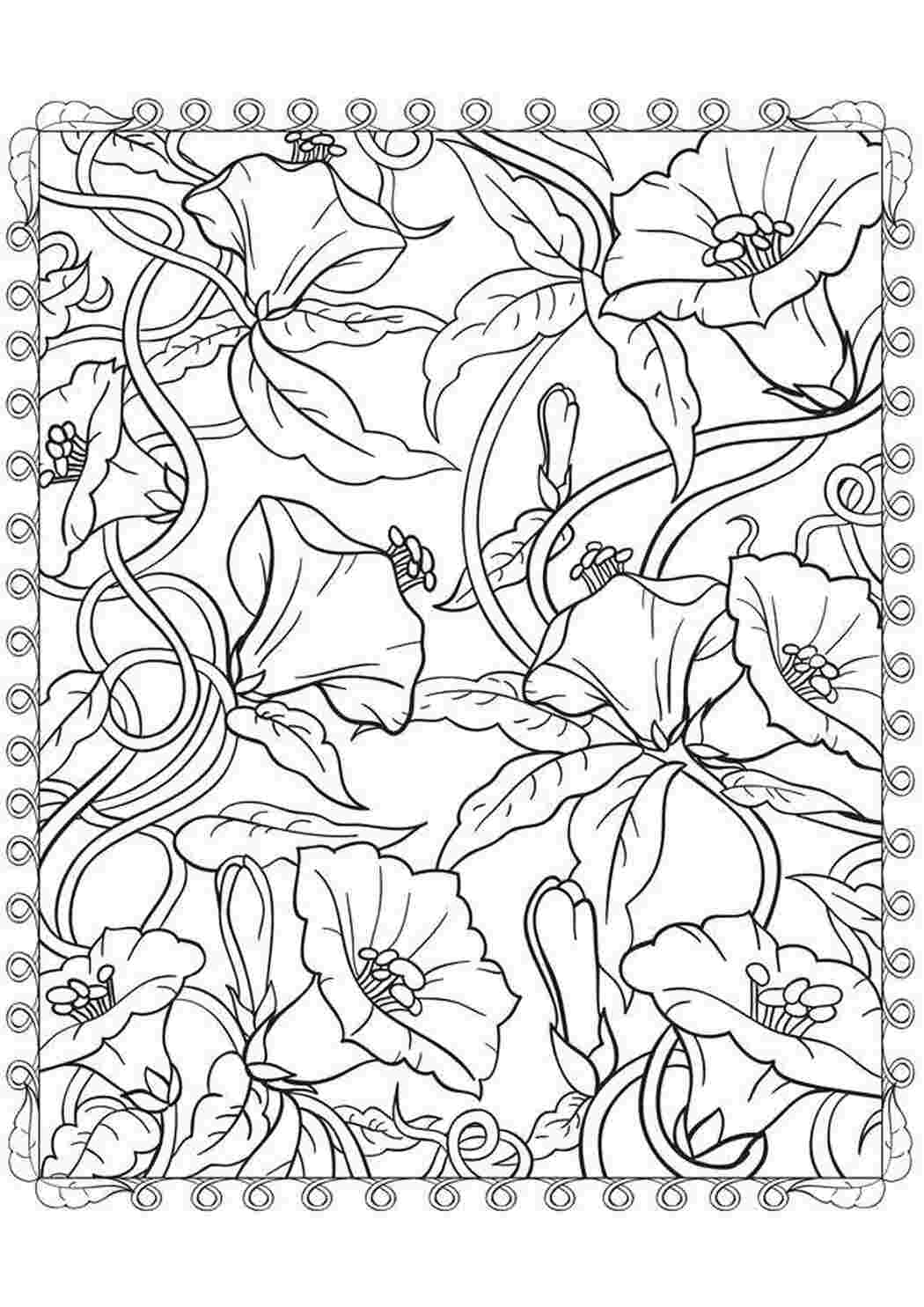 Раскраска Чудесные цветы
