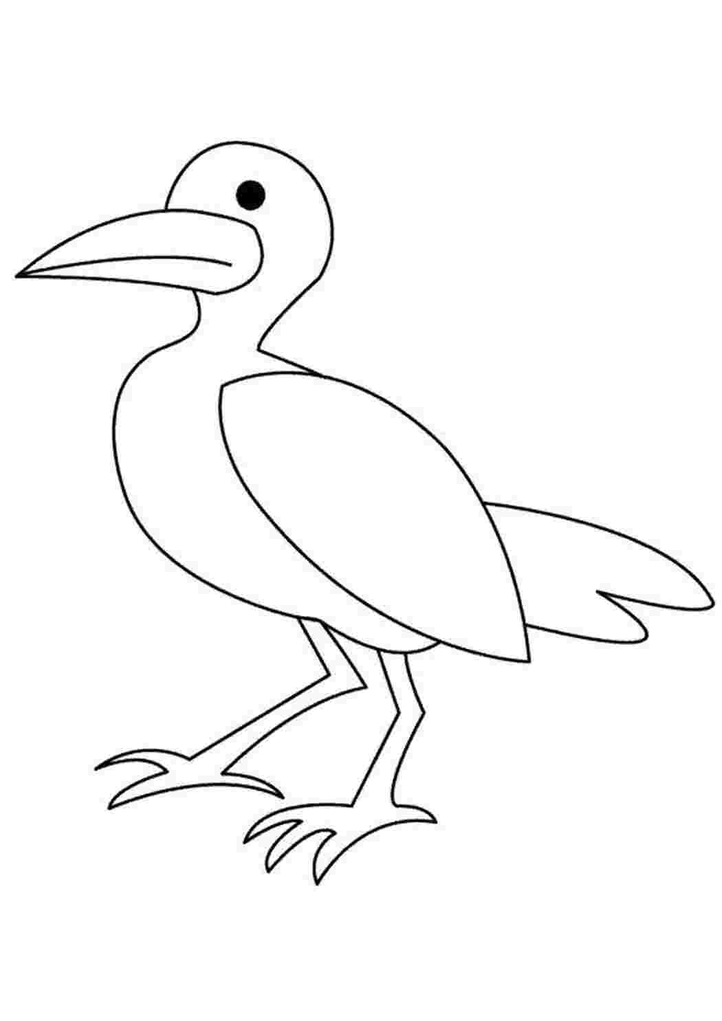 Раскраска чайка на берегу