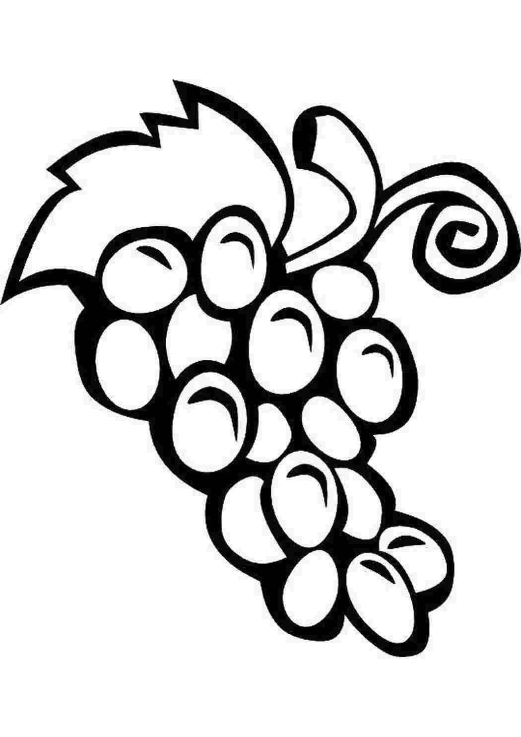 Раскраска Виноград