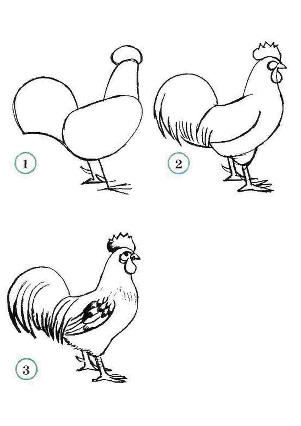 Как нарисовать петуха поэтапно 1 класс