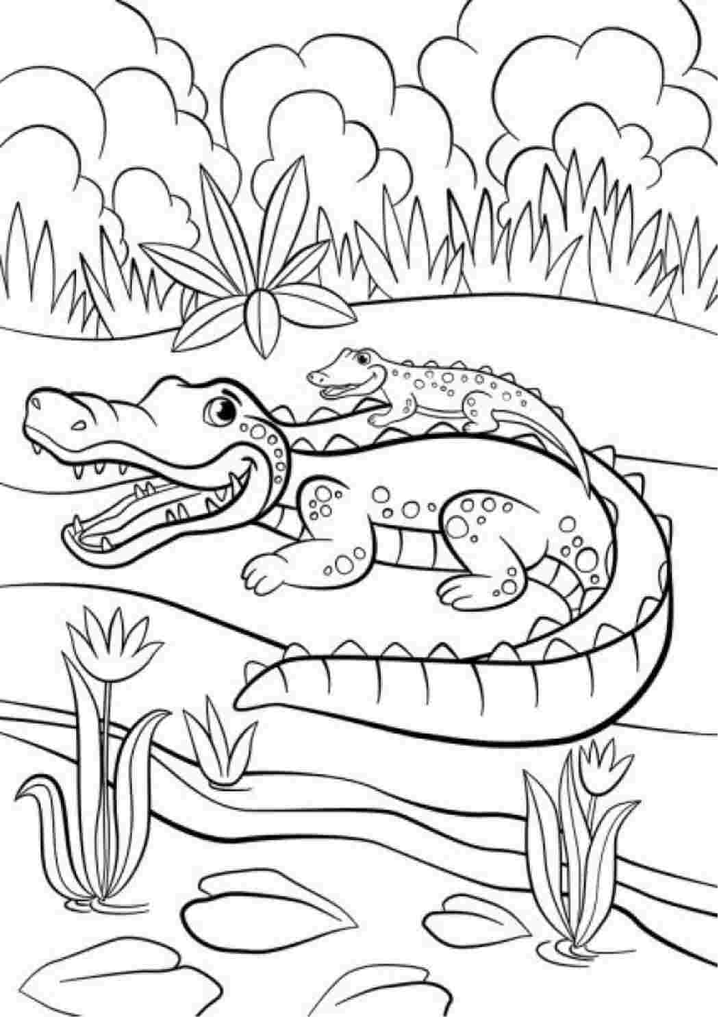 Крокодильчик с мамой разукрашка
