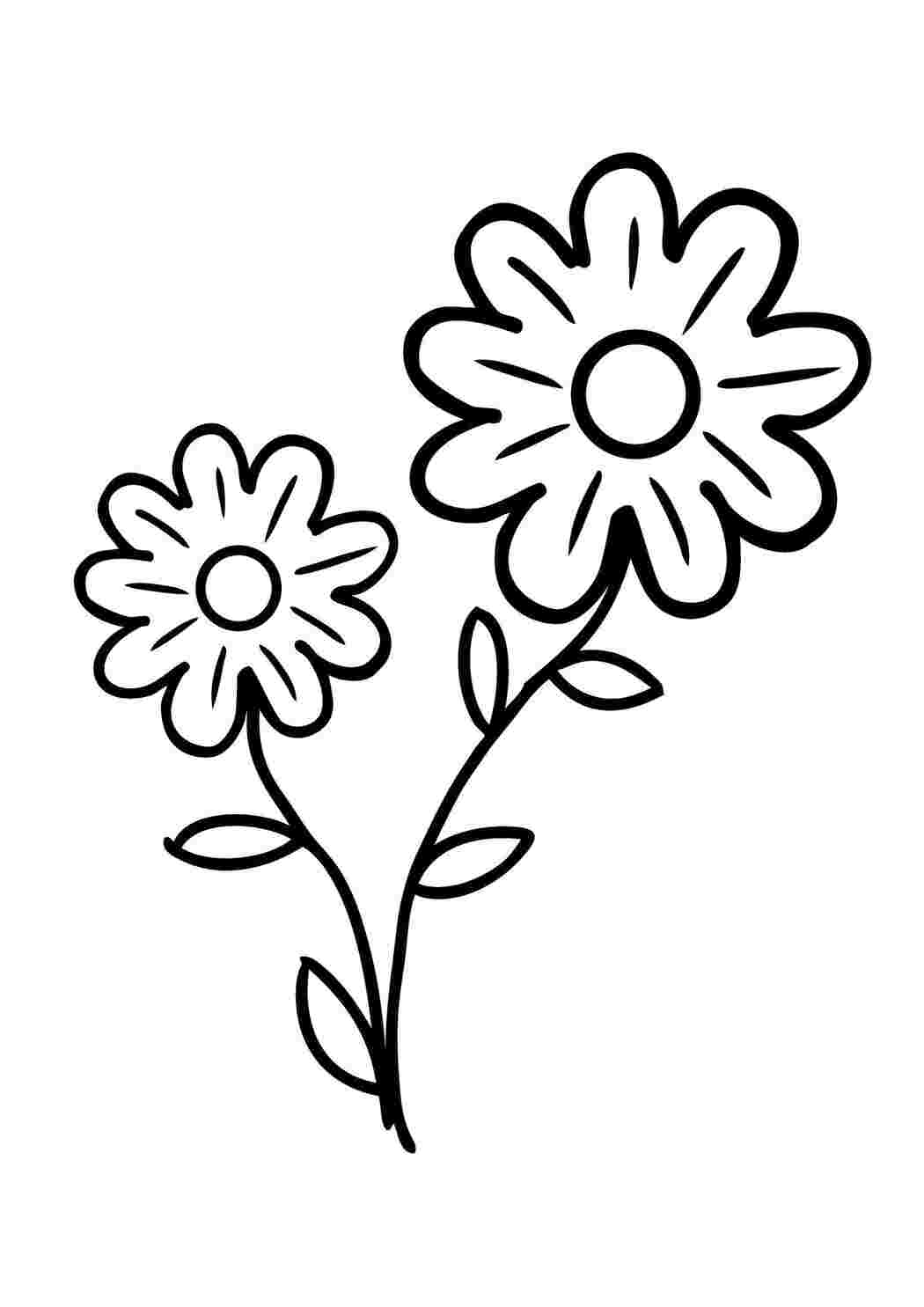 Раскраска Милые цветы