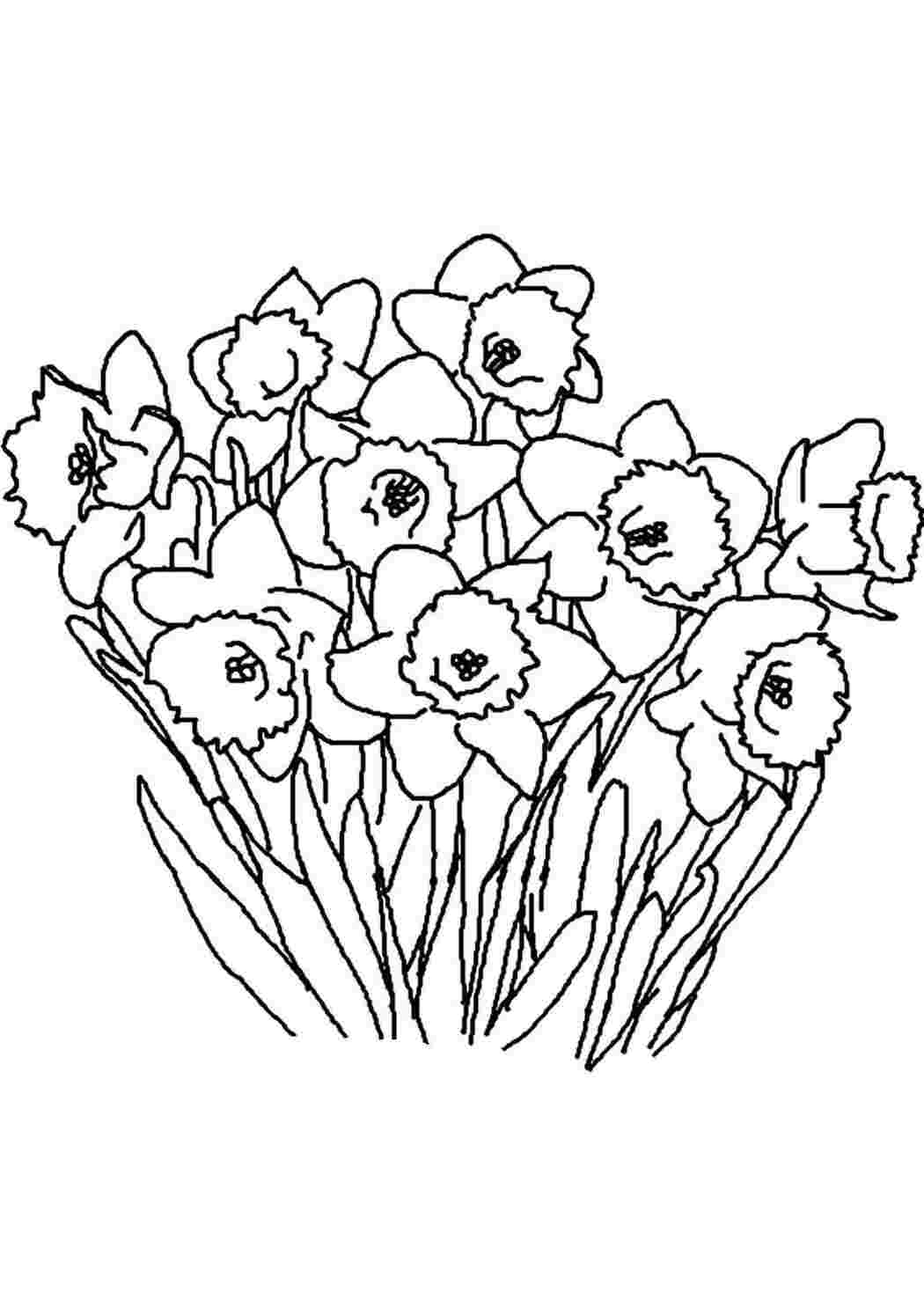 Раскраска Скачать или распечатать раскраску распечатать скачать