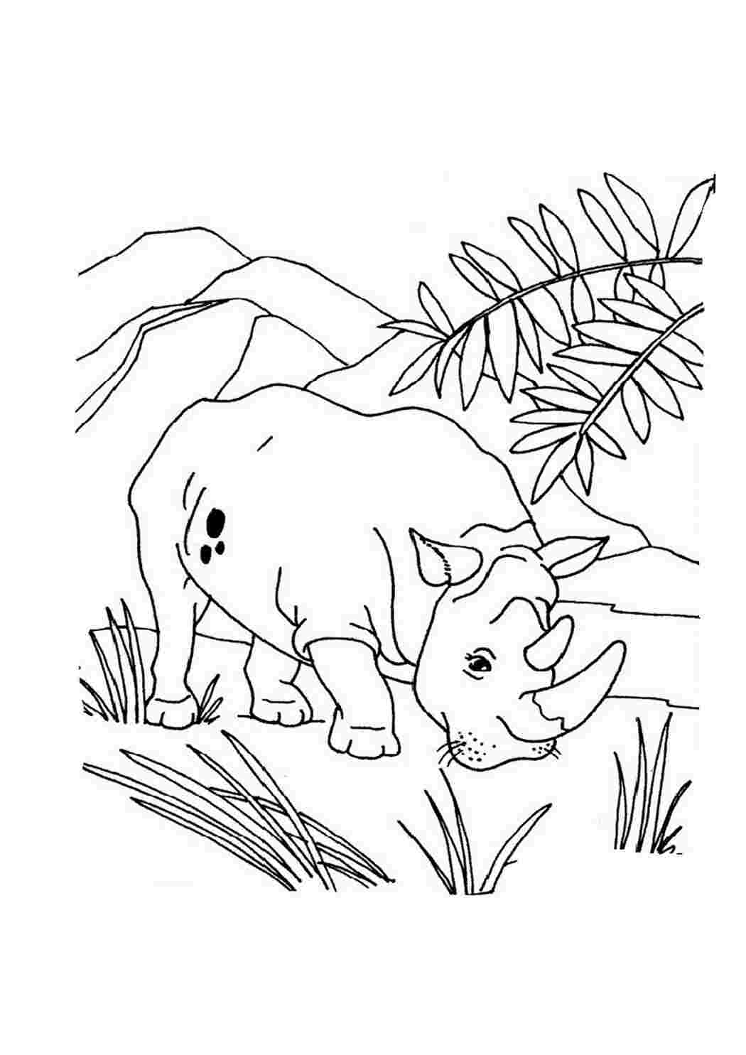 Лесные животные раскраска для малышей. Дикие животные раскраска для детей. Лесные животные раскраска для детей. Животные задания для детей. Раскрашиваем диких животных.