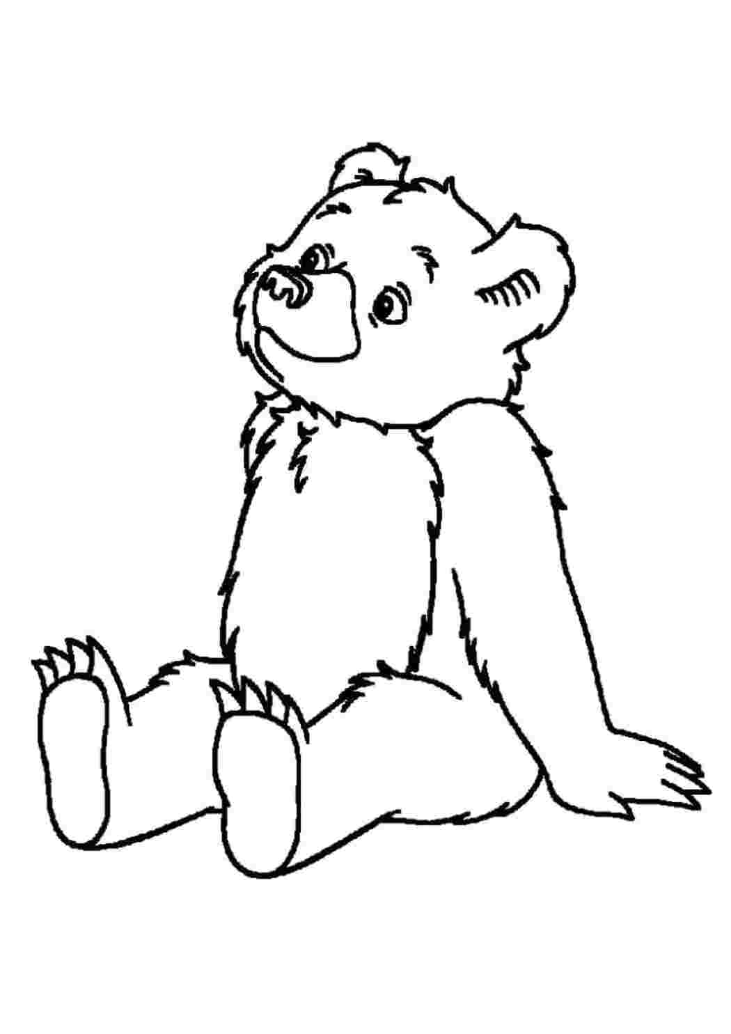 Раскраска Медведь