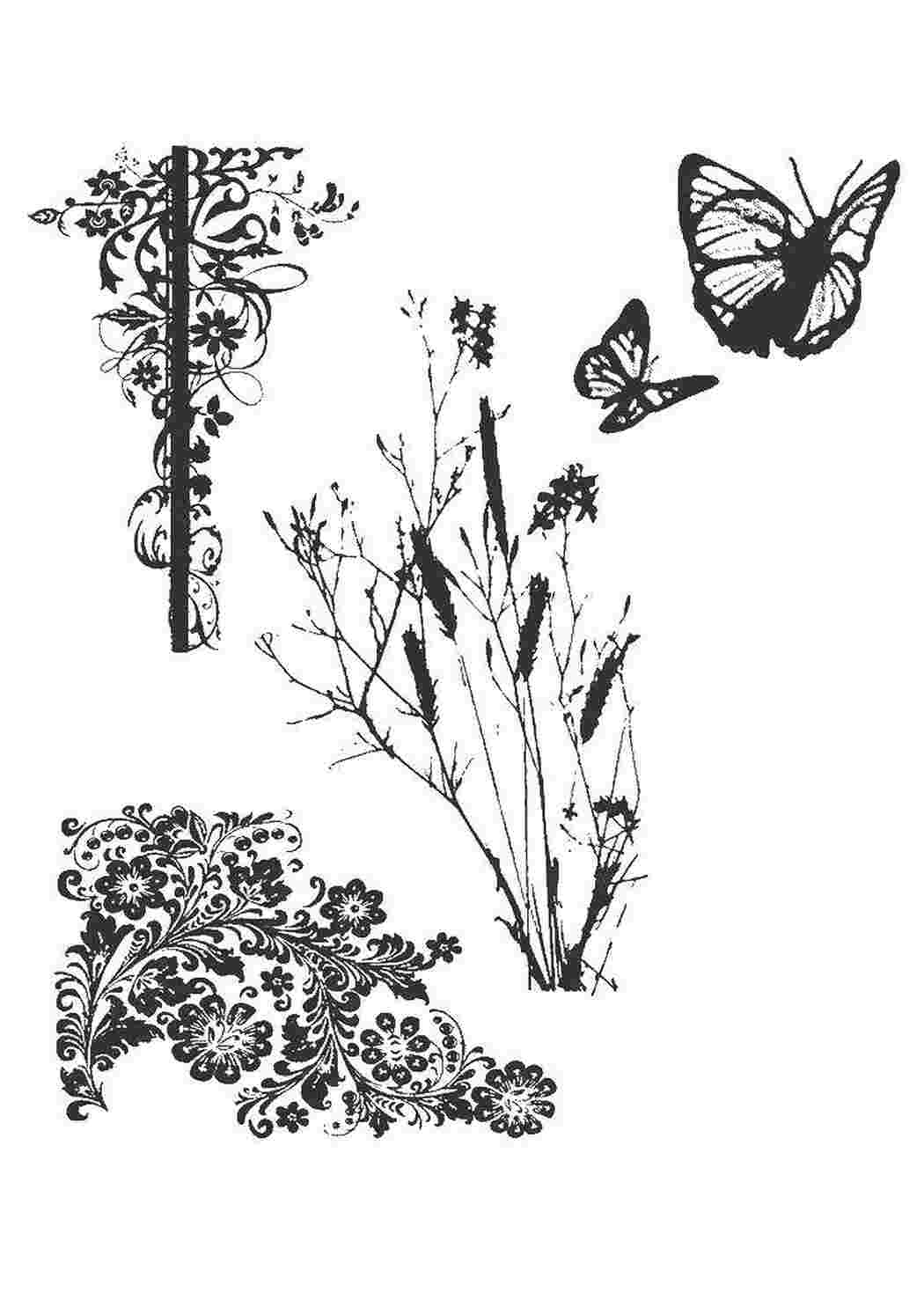 Раскраска Природа