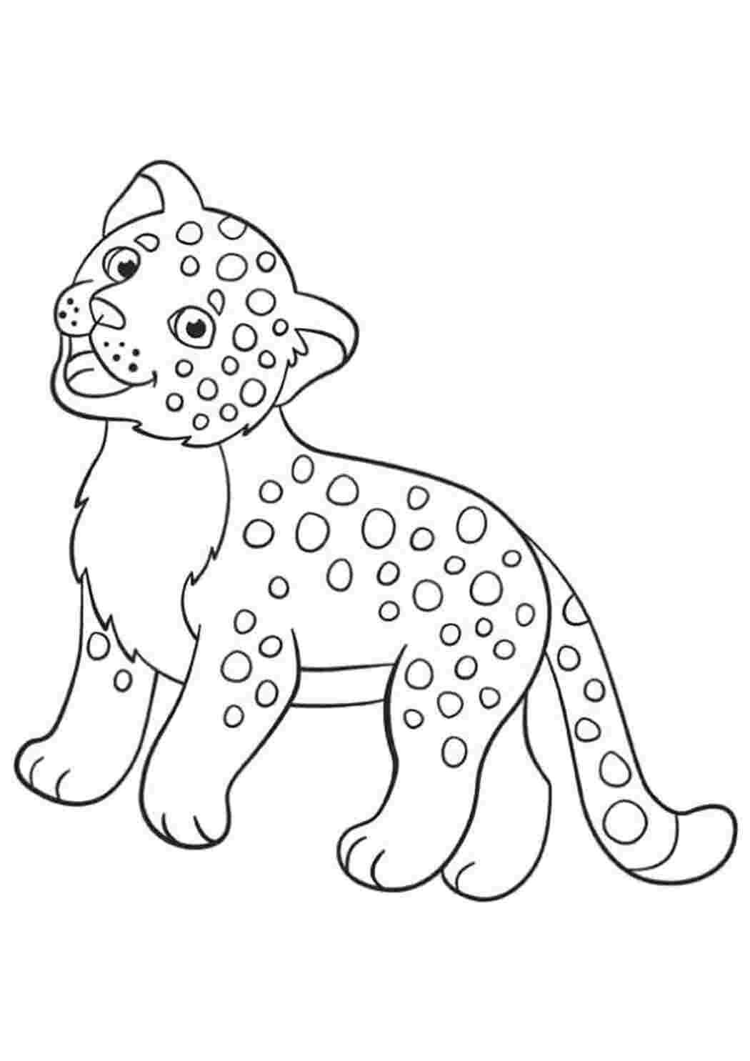 Раскраска Леопардик