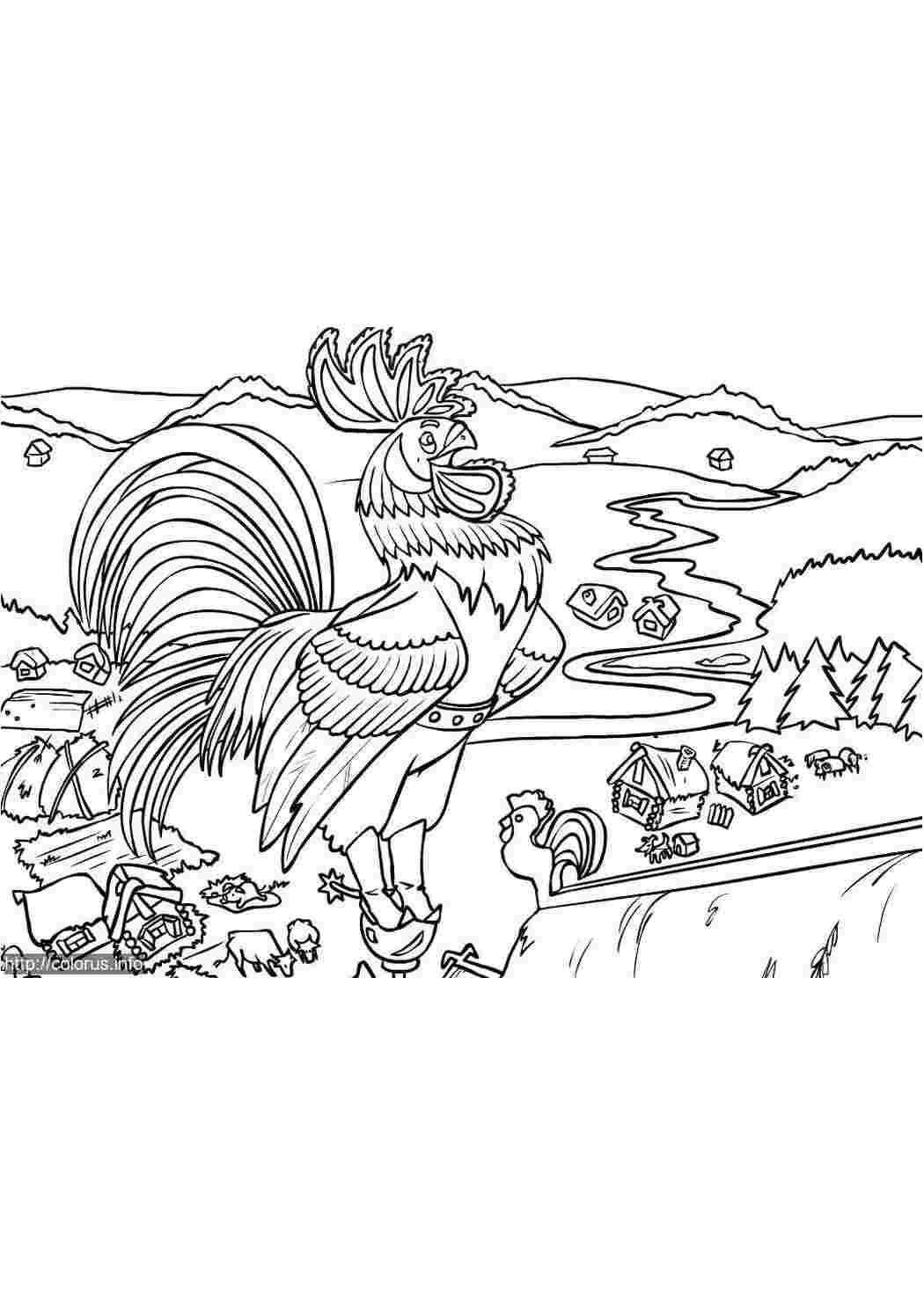 Раскраска Петушок