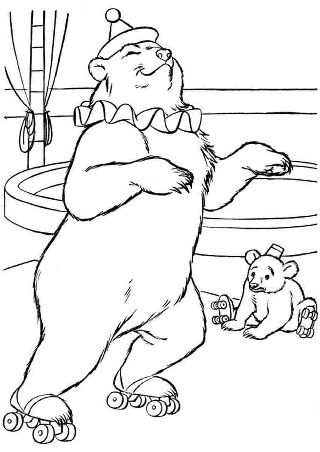 Распечатать раскраску помни из цифрового. Медведь раскраска. Медведь раскраска для детей. Цирк картинки для детей раскраска. Цирк раскраска для детей.