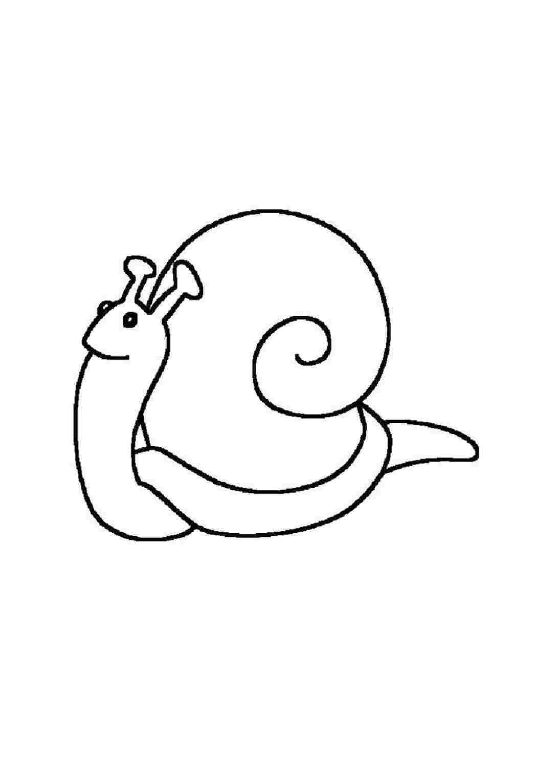 Раскраска Улиточка