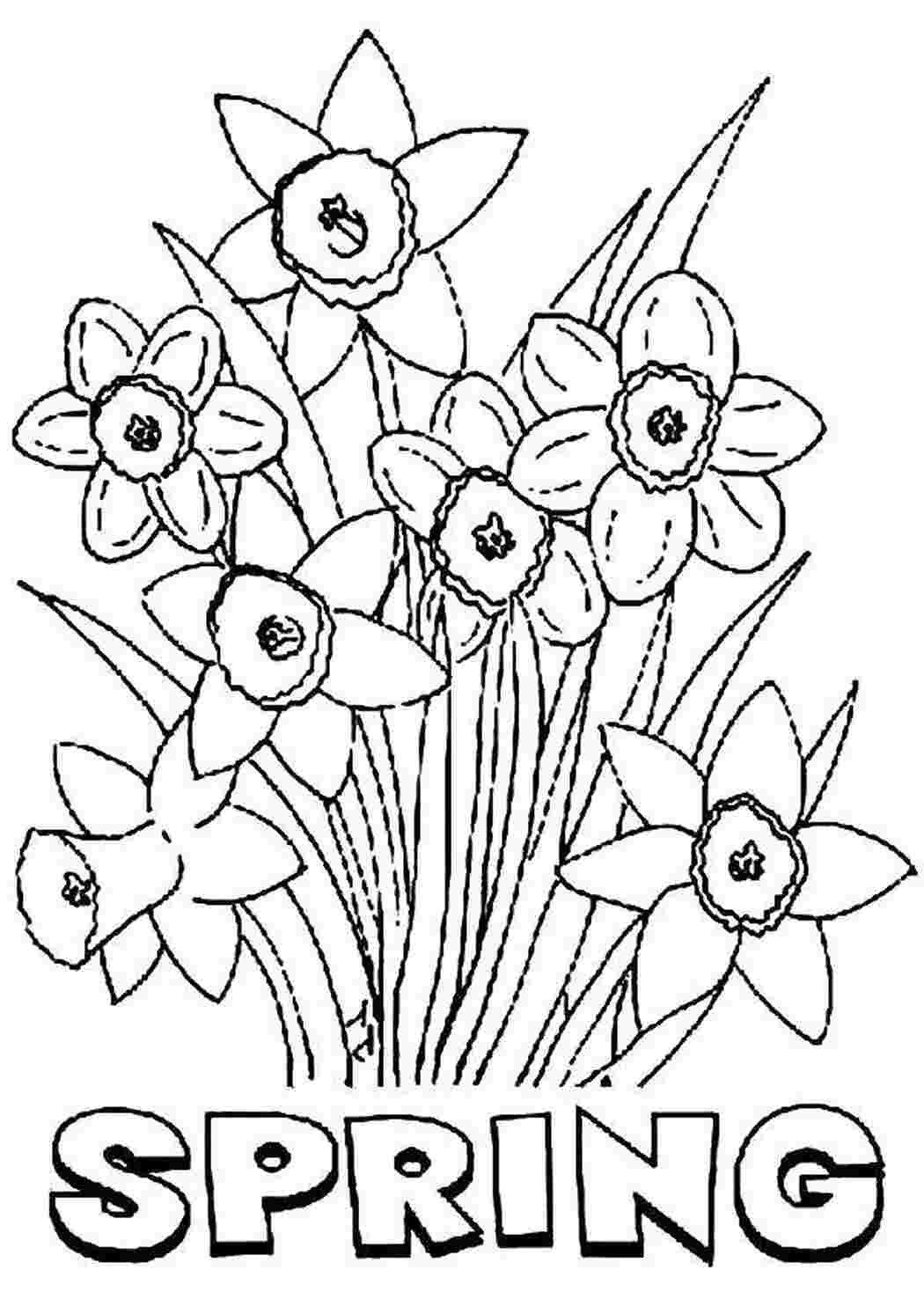 Раскраска Весна.