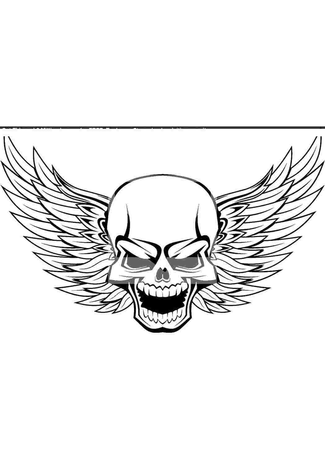 Раскраска Череп