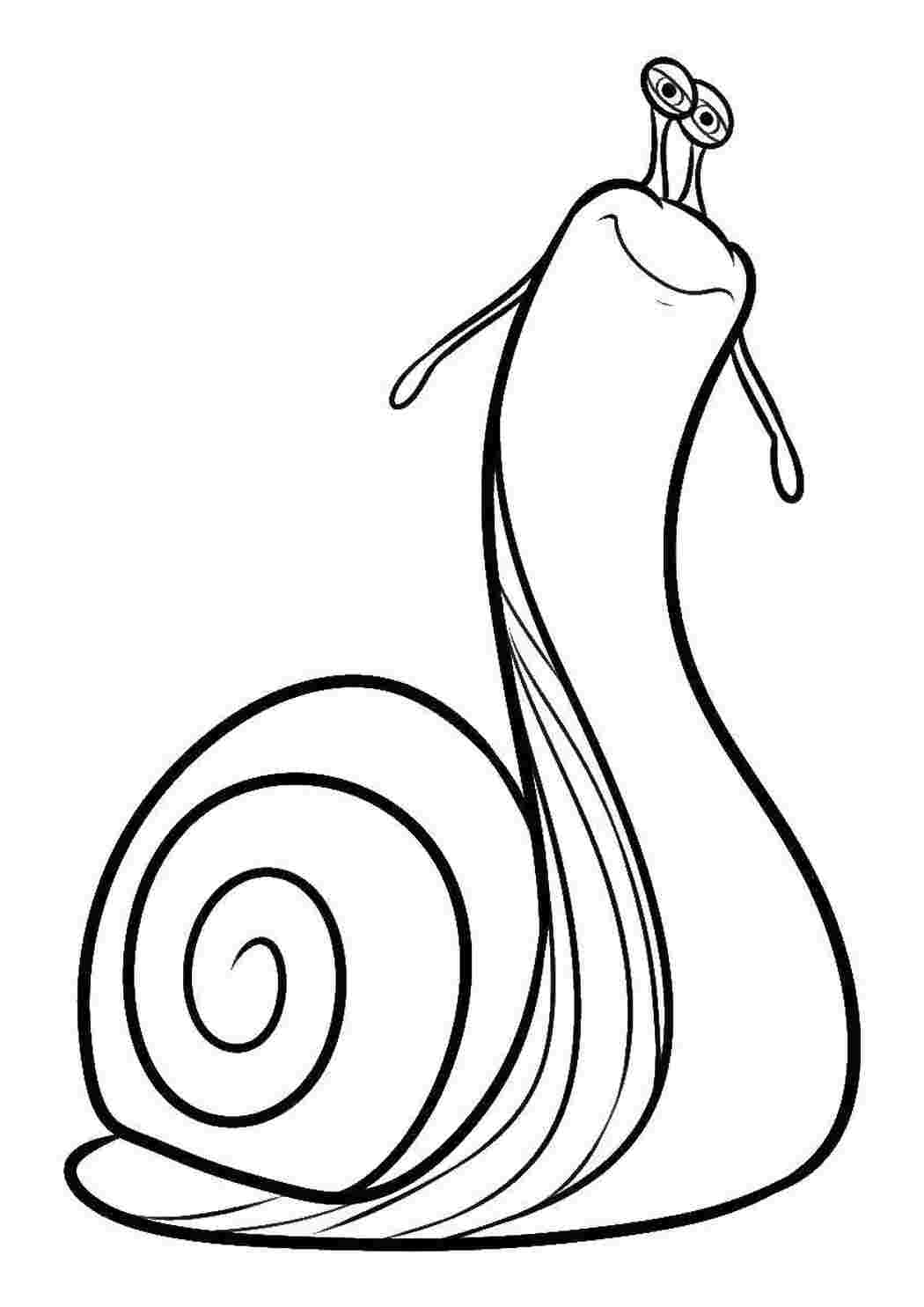 Раскраска Большая улитка