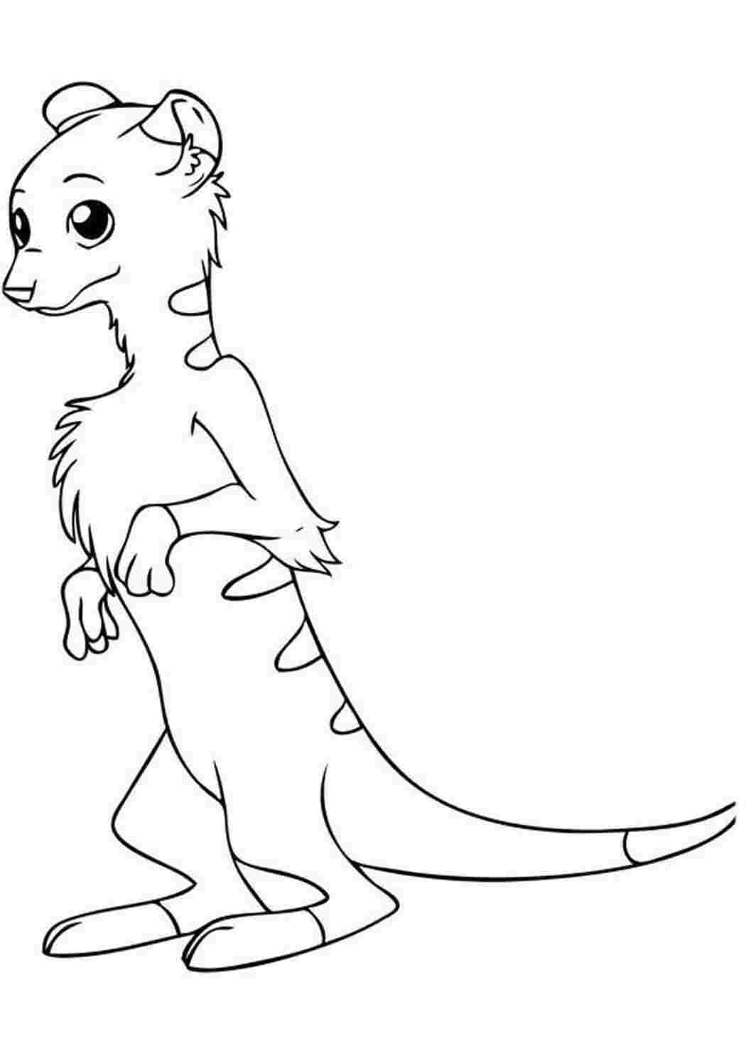 Раскраска Сурикаты стоят на задних лапках