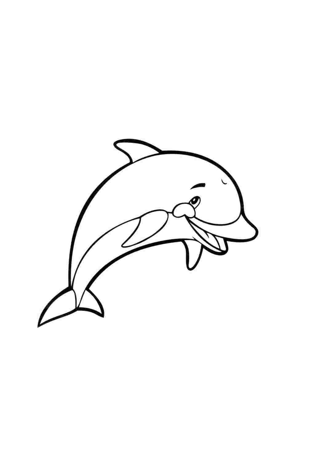 Раскраска Дельфин