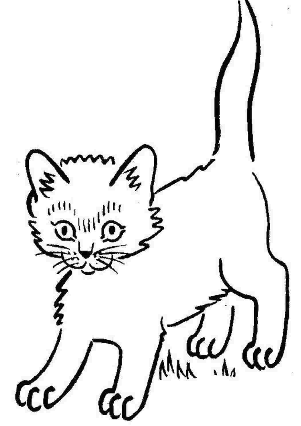 Черно белые картинки котят. Loshka raskrazka dla detey. Кошки. Раскраска. Кошка раскраска для детей. Котик раскраска для детей.