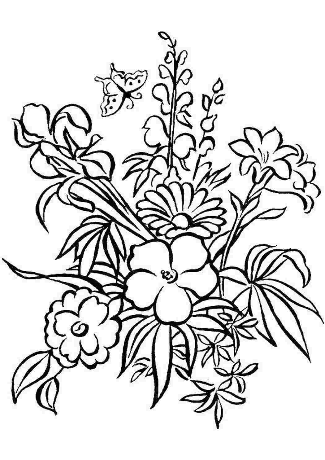 Раскраска Цветы