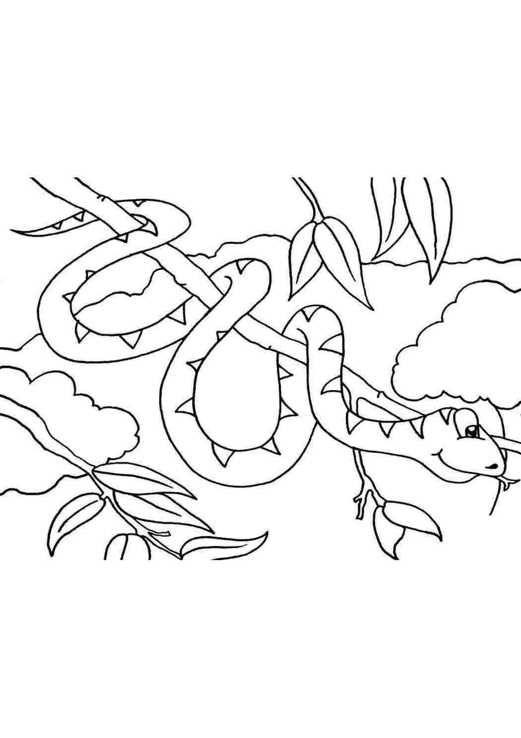 Раскраска Древесная змея