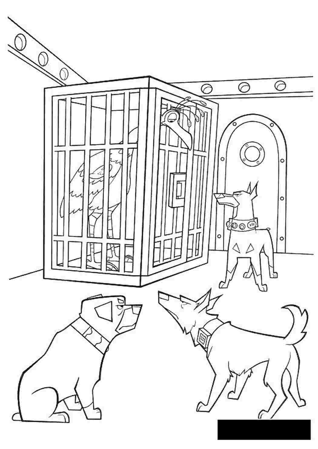 Собака в клетке раскраска