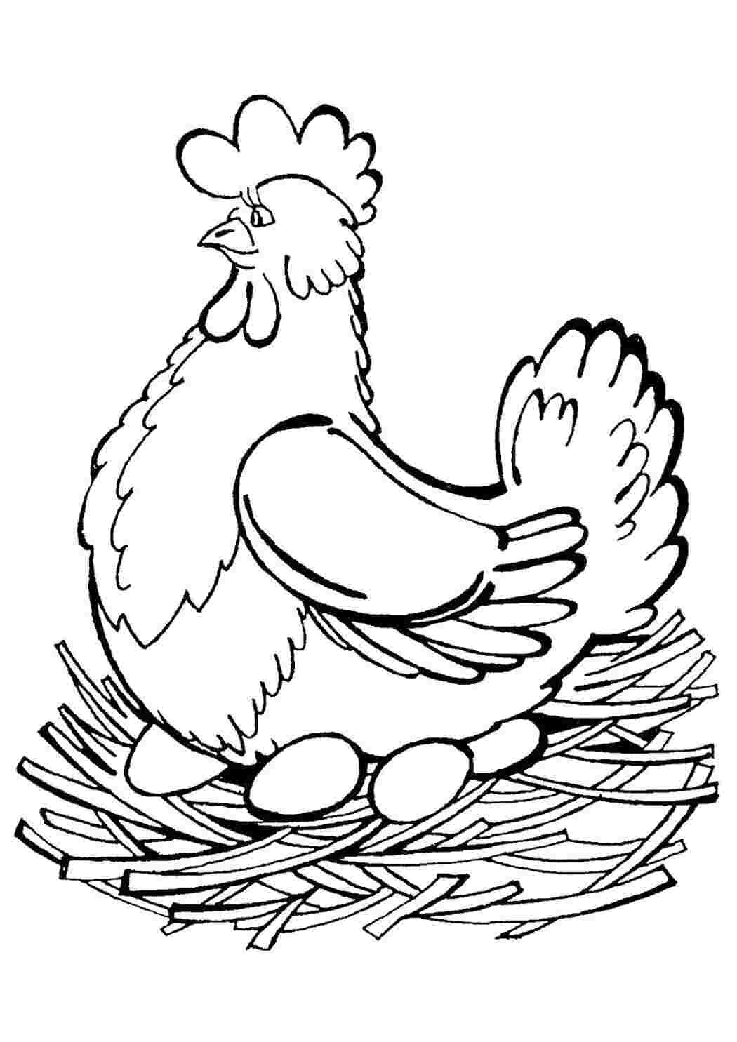 Раскраска Курица на насесте