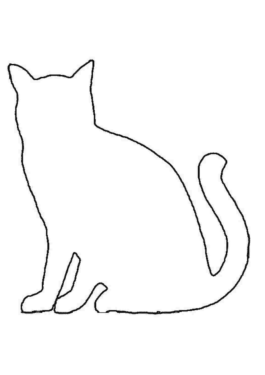 Раскраска Кошка