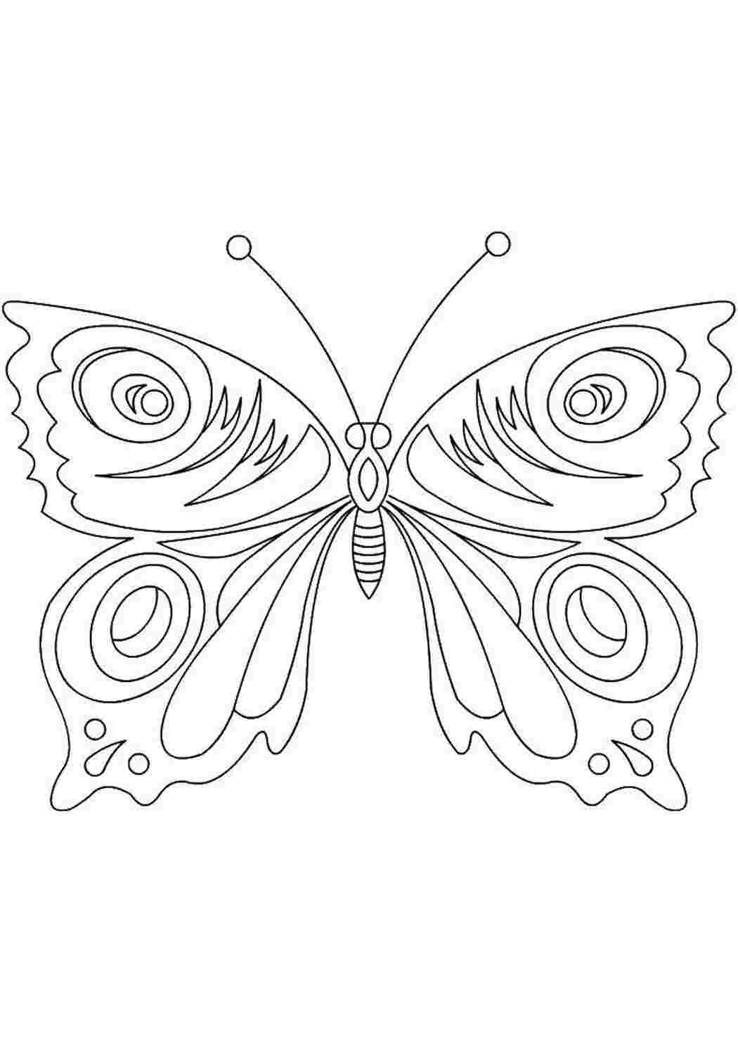 Раскраска Бабочка