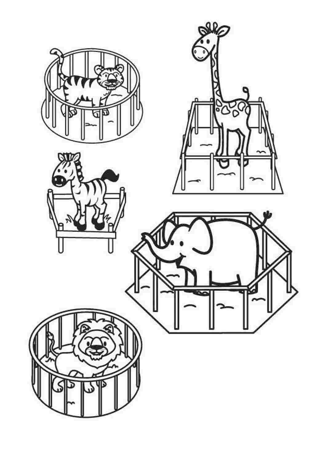Раскраски, Раскраска животные в зоопарке, тигр, жираф, зебра, слон, лев  Раскраски скачать онлайн. домашние животные заяц, кролик. космос космонавт.  Обучающие раскраски Обучающая раскраска, логика. игрушки коробка, санта.  Антистресс Антистресс, совушка.
