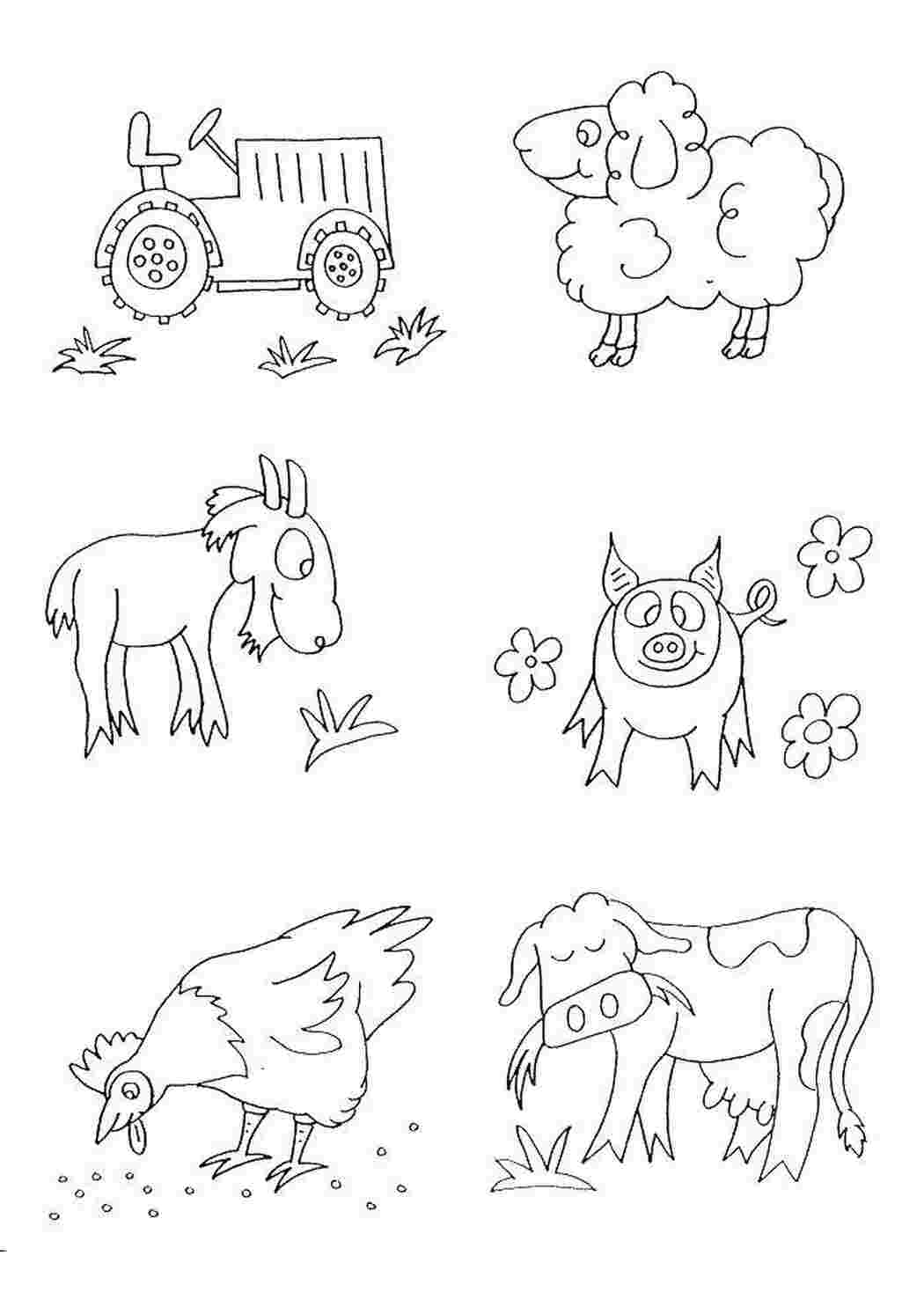 Раскраска Домашние животные