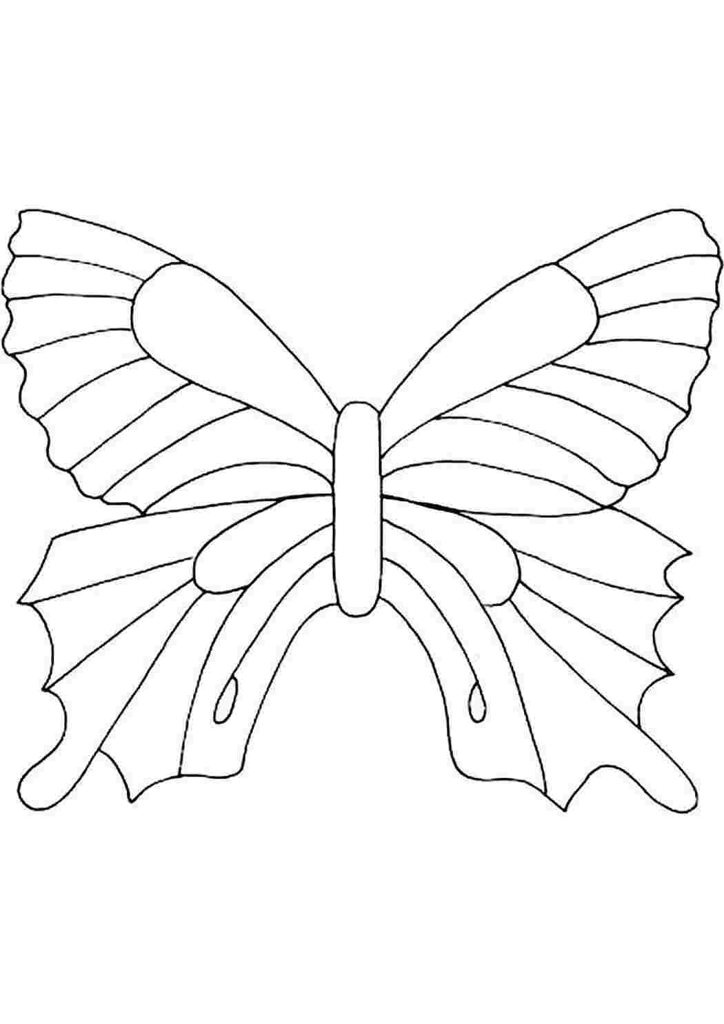Бабочка рисунок трафарет для поделки