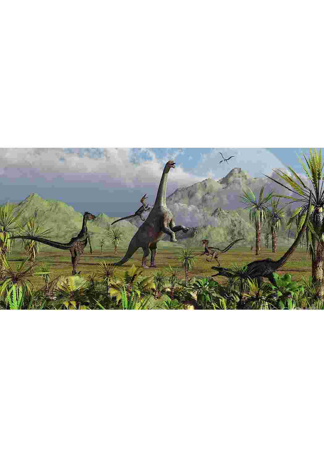 Раскраска динозавры большие разных видов динозавры