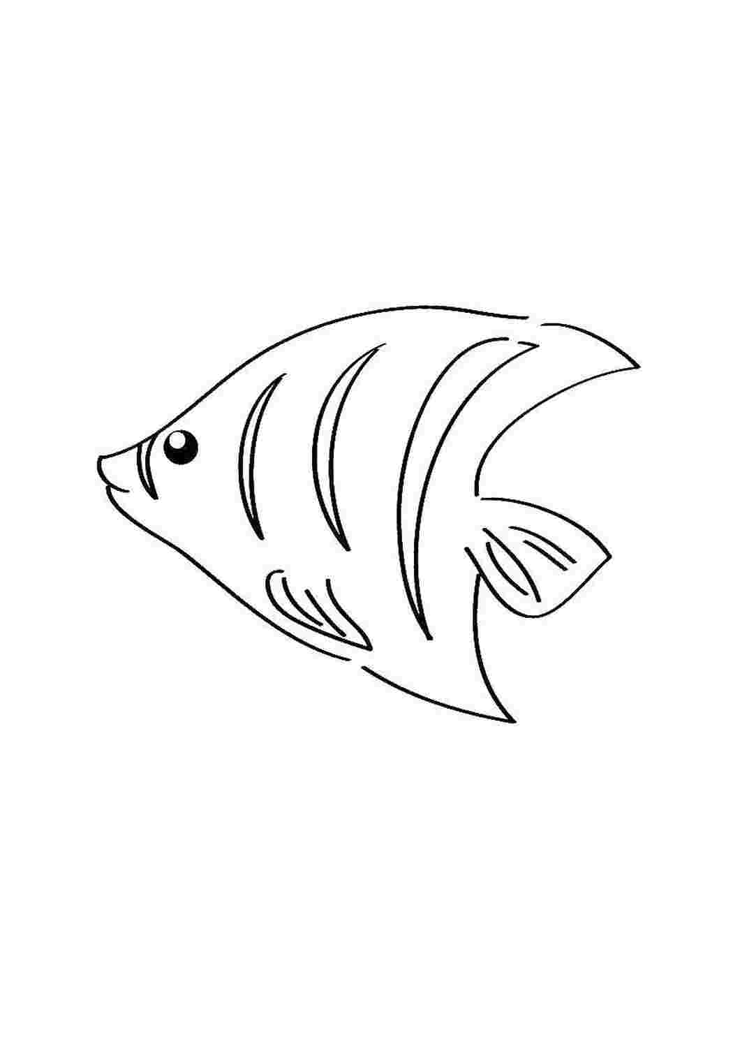 Раскраска Рыбы