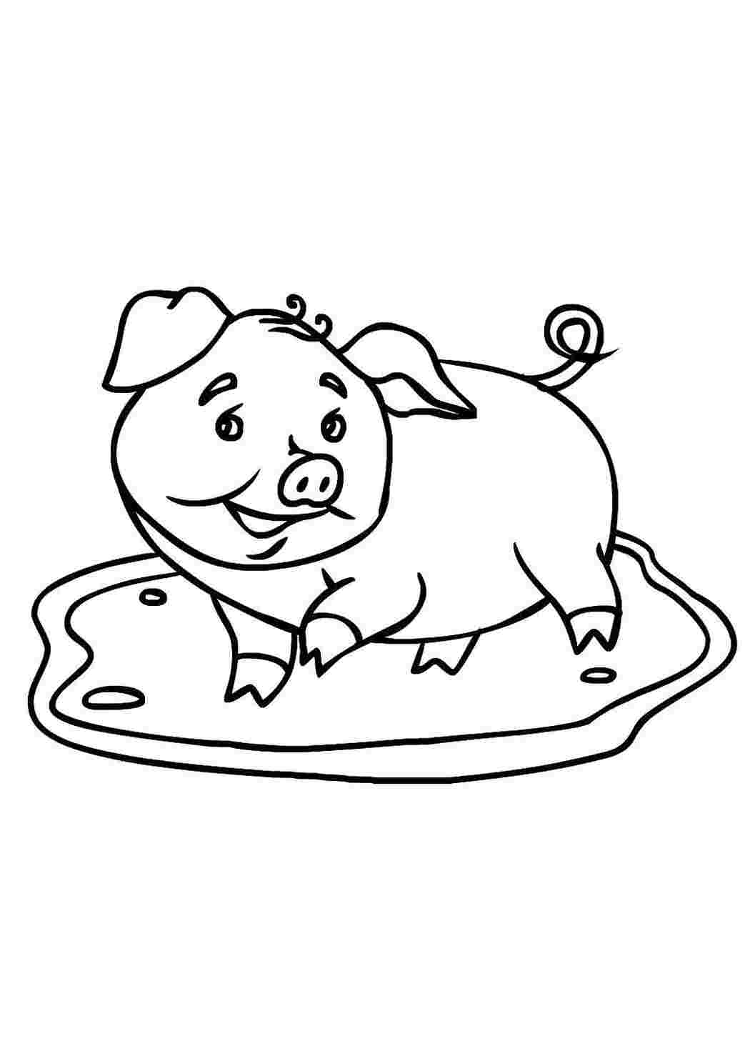 Раскраска Свинка