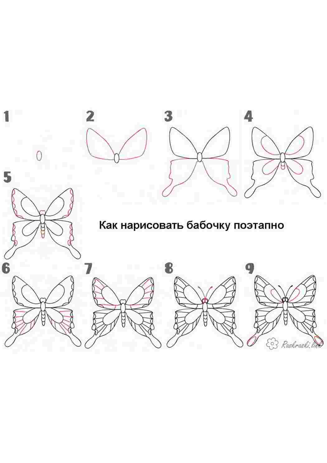 Рисуем бабочку поэтапно презентация 1 класс