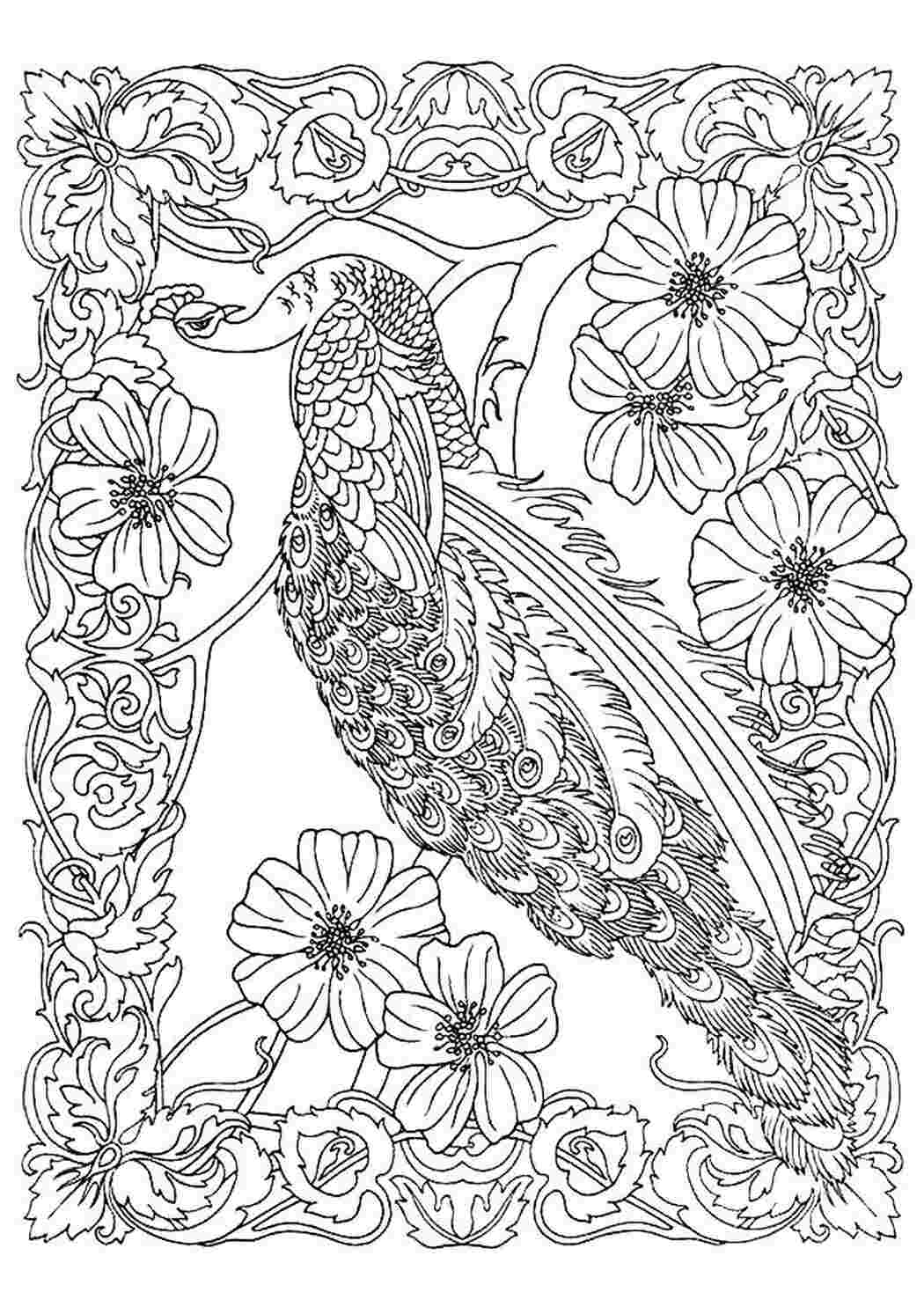 Раскраска Птичка