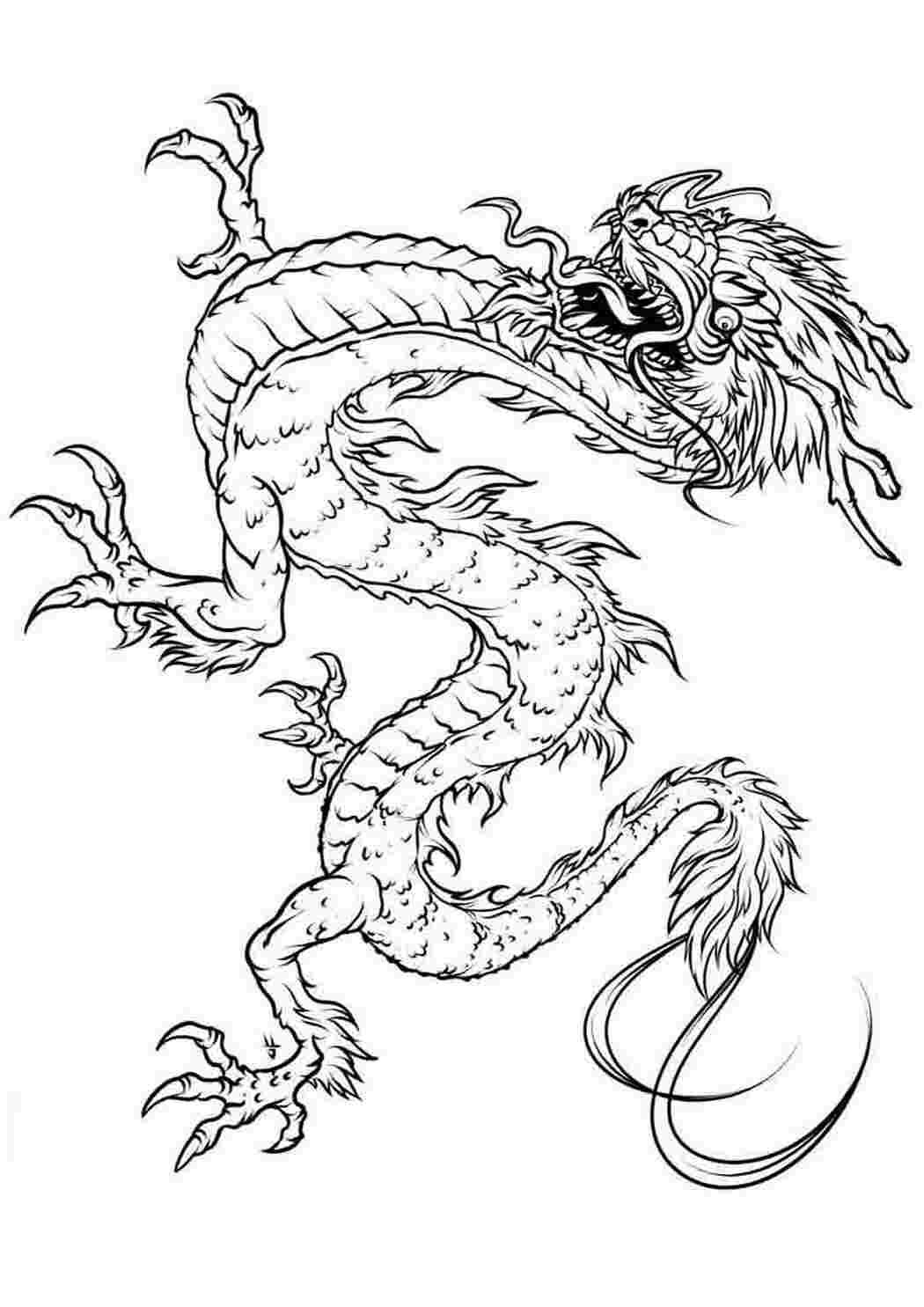 Раскраска дракона 2024. Раскраска дракон. Раскраски драконов. Китайский дракон раскраска. Картинка дракона раскраска.