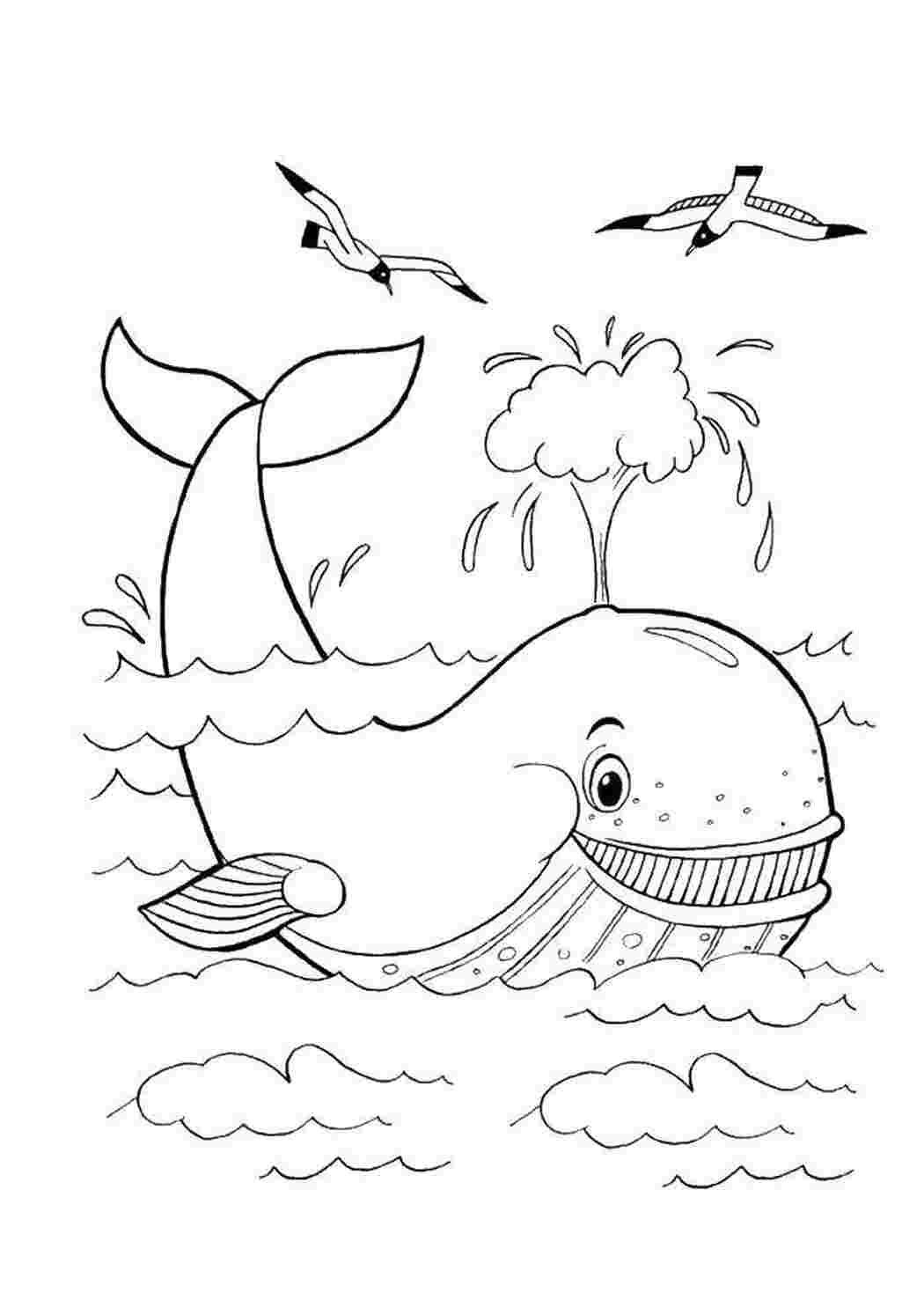 Раскраска кит