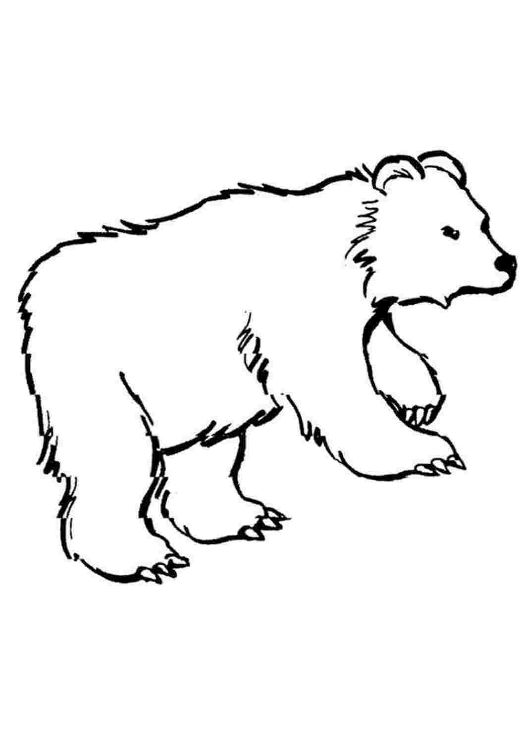 Лиса и медведь рисунок раскраска