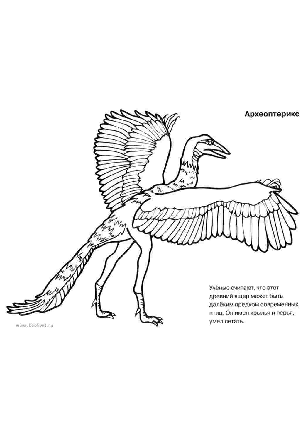 Раскраска динозавр, аркеоптерикс