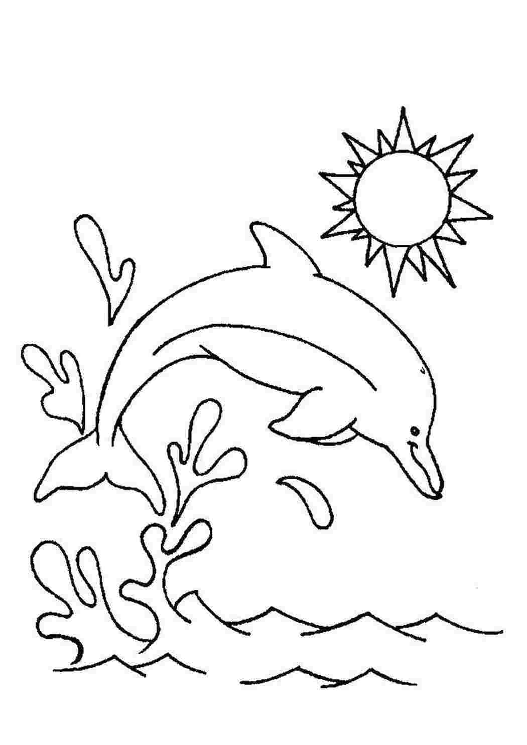 Раскраска Дельфин