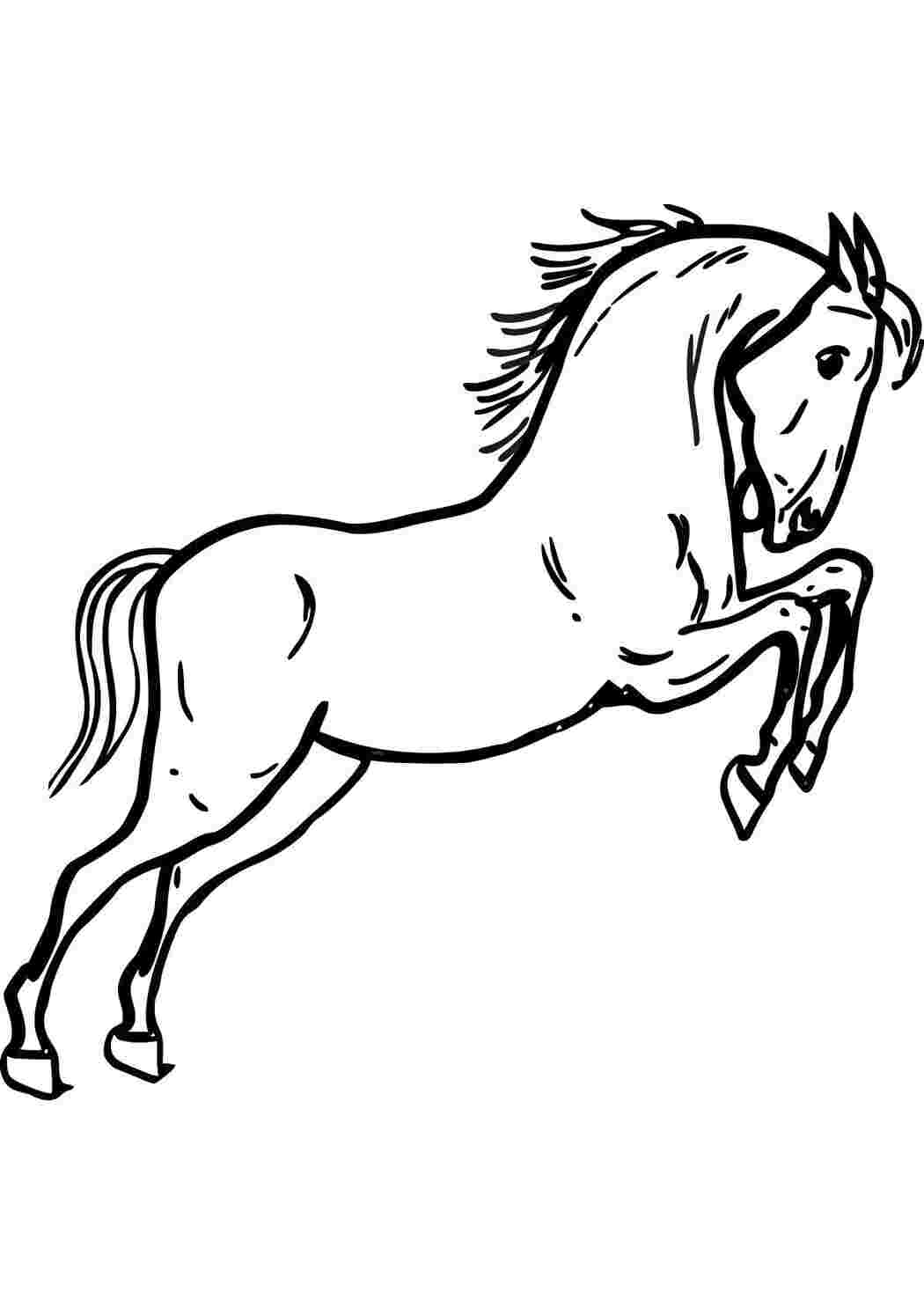 Раскраска Быстрая лошадь