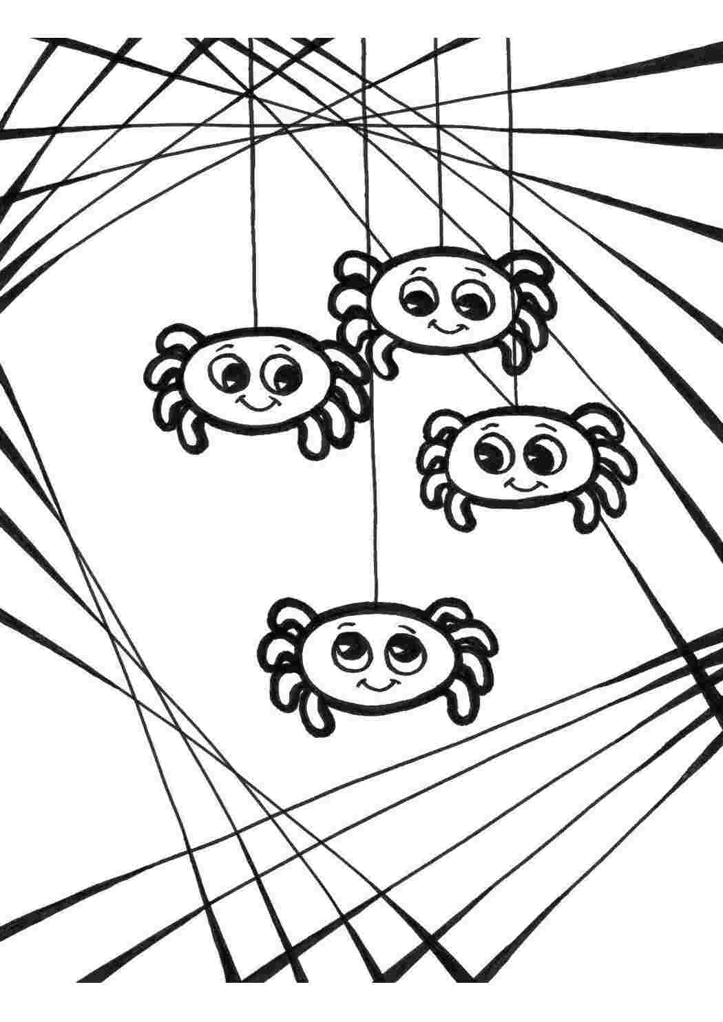 Раскраска Пауки