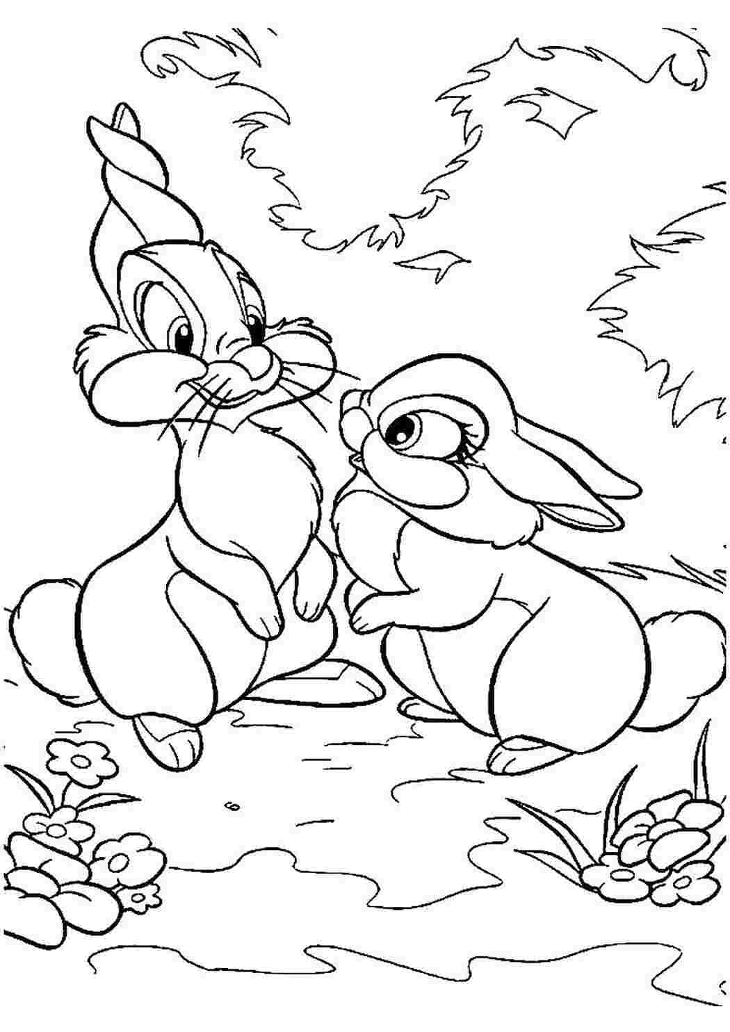 Раскраска Зайчата